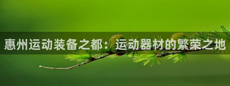 海南球速体育QsTY官网下载：惠州运动装备之都：运动