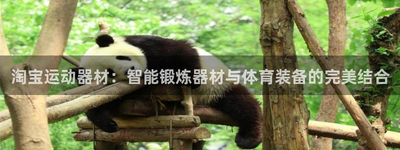 球速体育QsTY官方正版app集团官网首页网址