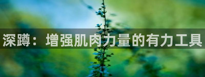 球速体育QsTY官网下载：深蹲：增强肌肉力量的有力工具