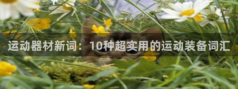 球速体育QsTY官网下载平台注册要钱吗：运动器材新词